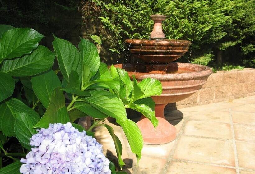 Casablanca Bed & Breakfast