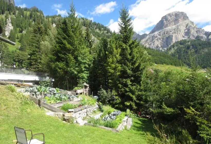 Hotel Borest