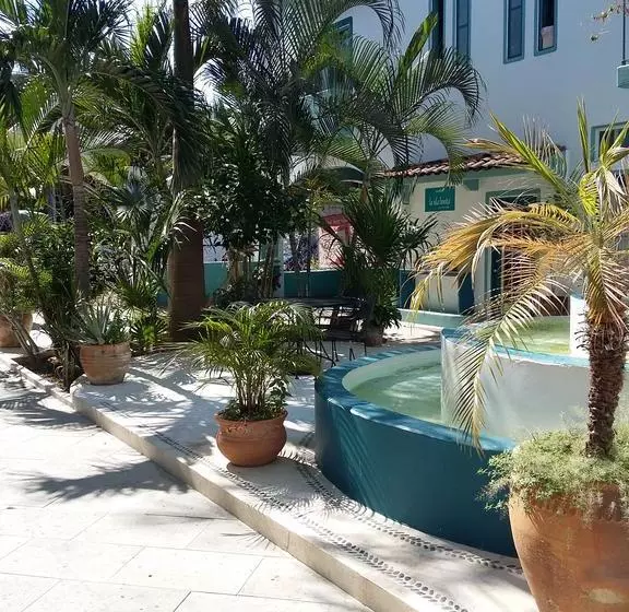 ホテル Delphinus Inn