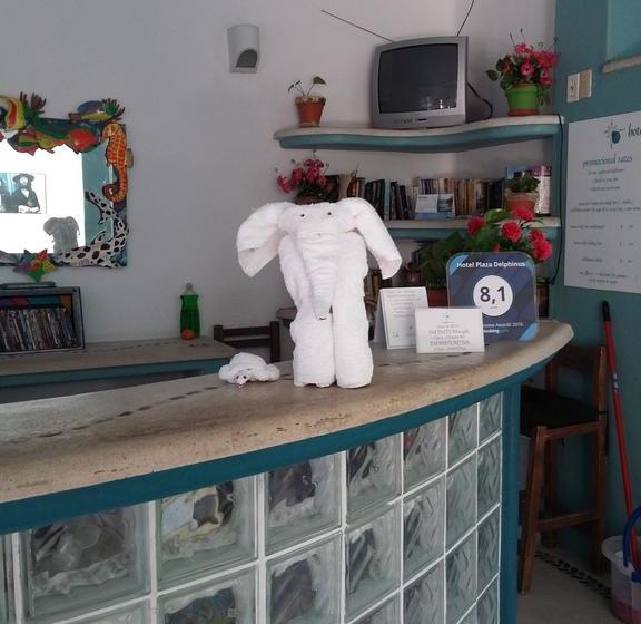 Szálloda Delphinus Inn