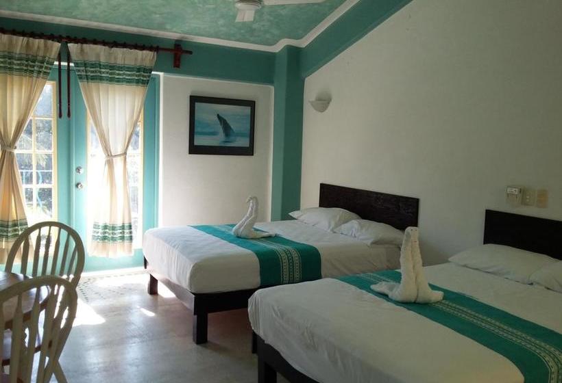 Szálloda Delphinus Inn