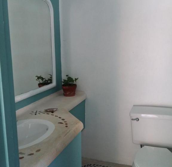 Szálloda Delphinus Inn