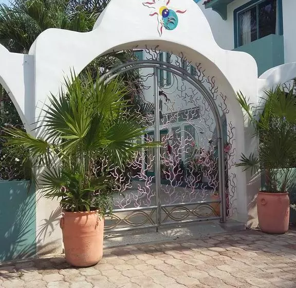 ホテル Delphinus Inn
