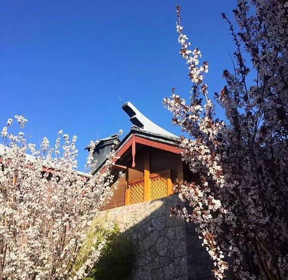 Отель Lijiang Jin Mao Unique & Resort