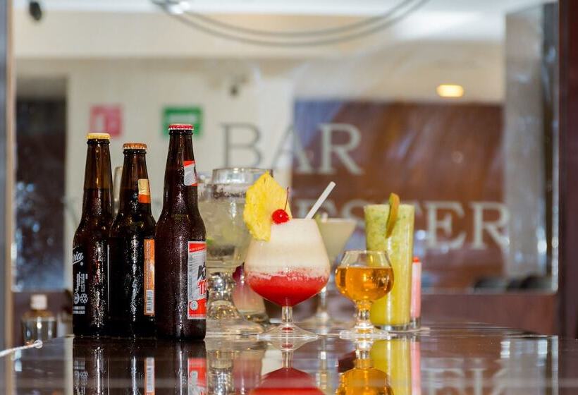 فندق Real Plaza Aguascalientes