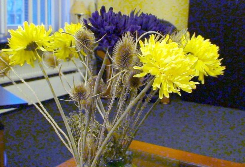 هتل Rompromo Plus Accommodation