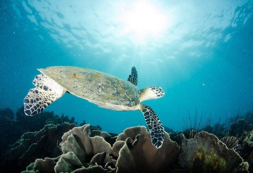 Отель Salakphet Resort