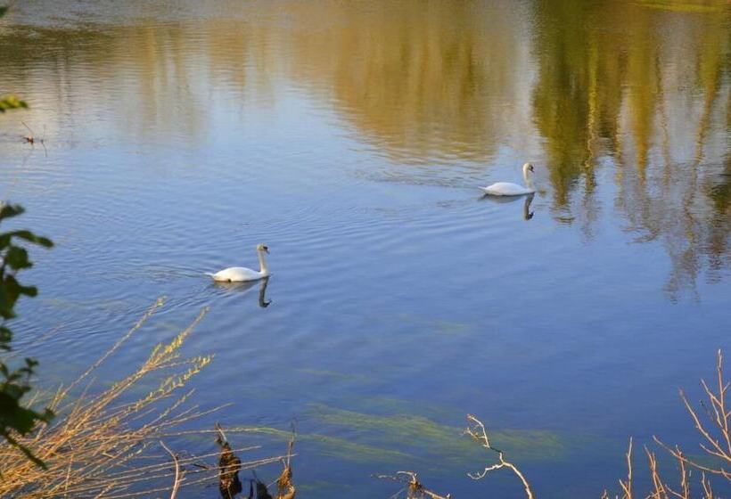 Killarney View House B&b