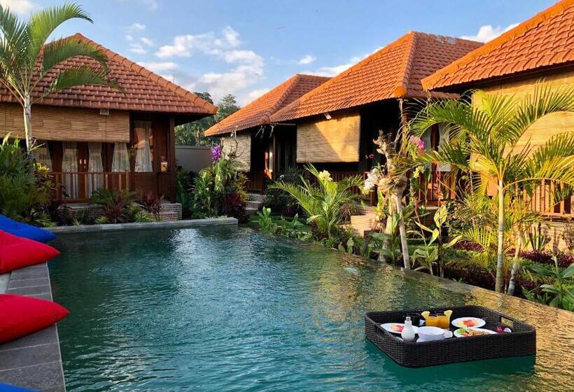 住宿加早餐 Umagama Villas