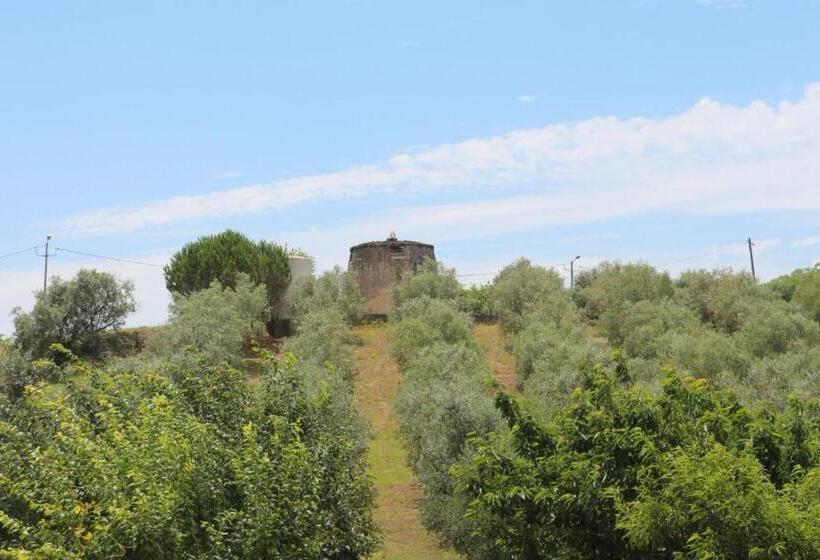 هتل Casa Da Alagoa