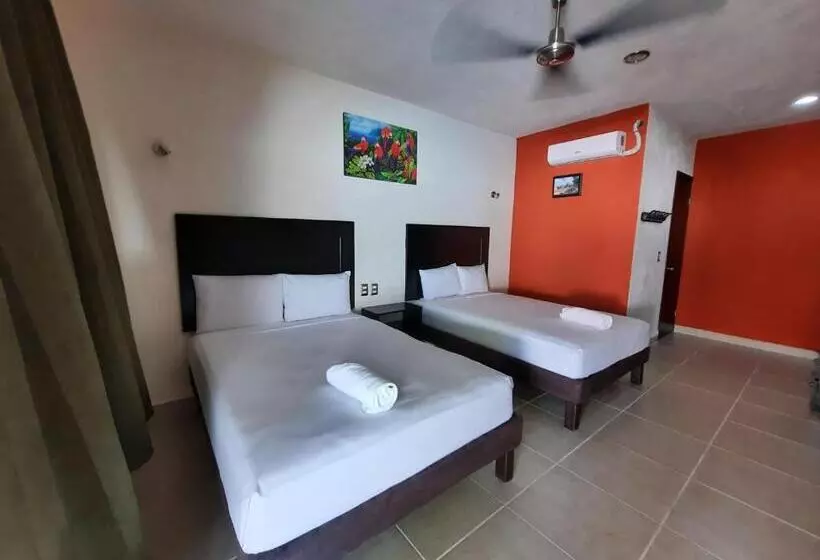 Luna Turquesa Hotel Apartments   Free Bikes