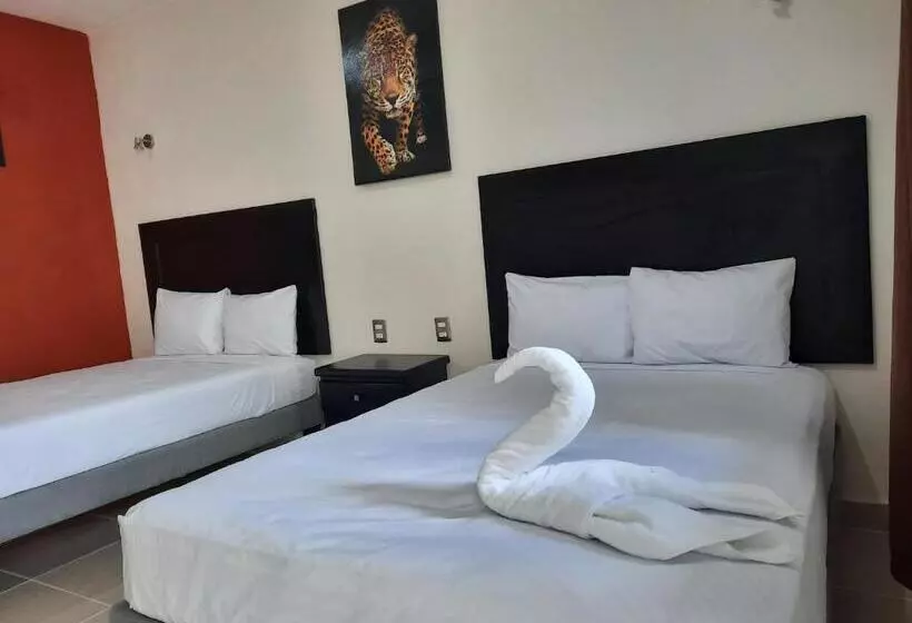 Luna Turquesa Hotel Apartments   Free Bikes