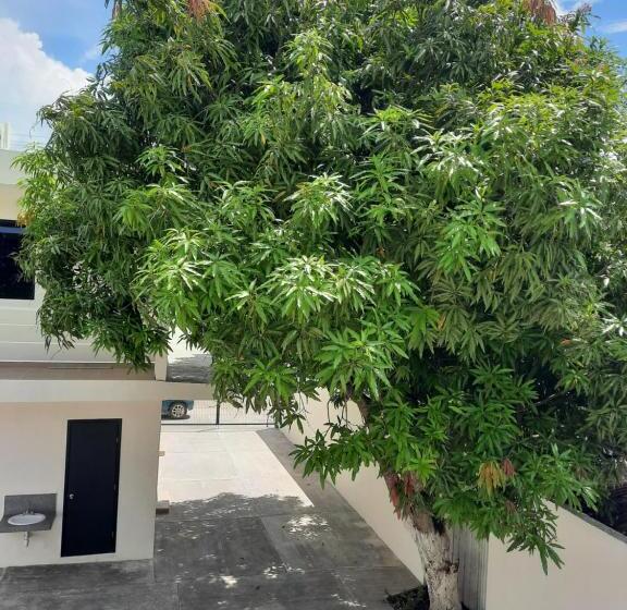 Luna Turquesa Hotel Apartments   Free Bikes