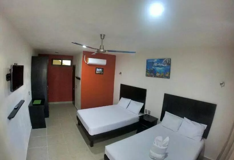 Luna Turquesa Hotel Apartments   Free Bikes