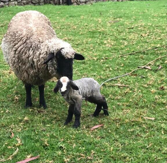 פנסיון Hostal Finca Huatabampo