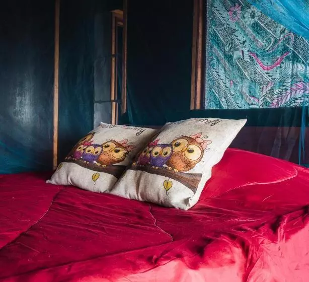 Lomakeskus Beachfront Hut Upstairs Astra   Beach Shack Chalet