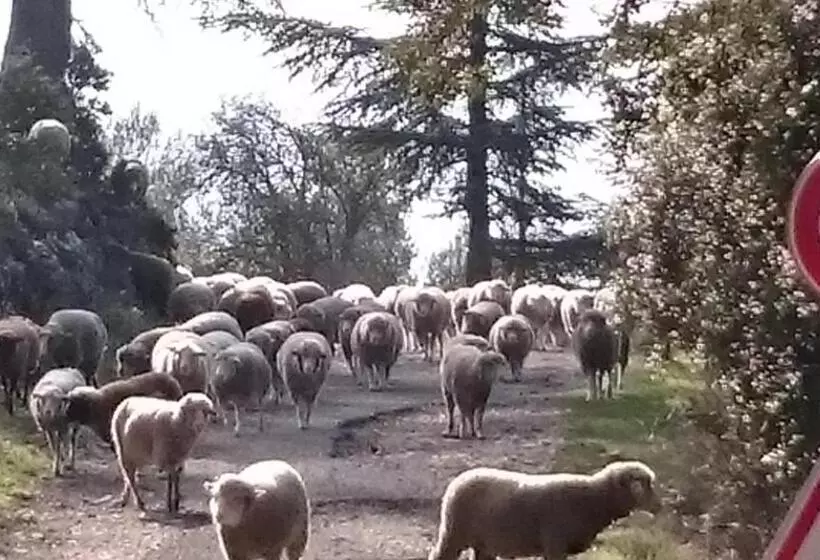 Nocleg ze śniadaniem Brossard