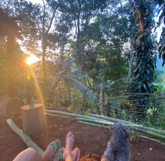 ホテル Eco Alto Do Sol