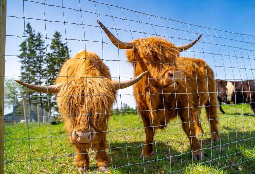 Szálloda Ravens Rest Retreat