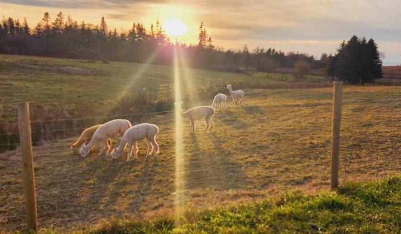 Szálloda Ravens Rest Retreat