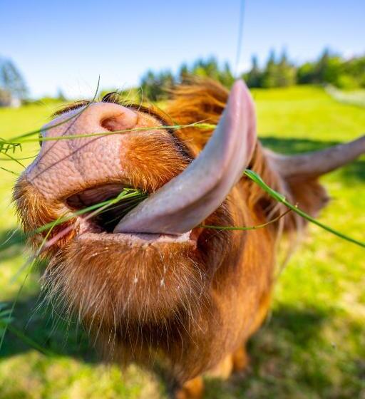 Szálloda Ravens Rest Retreat
