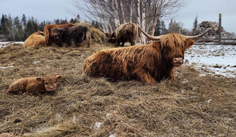Szálloda Ravens Rest Retreat