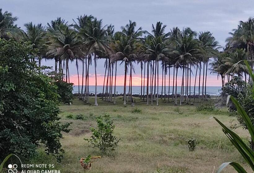 Pension Hostal Té De Menta