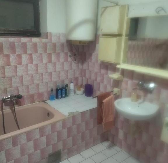 پانسیون Marić