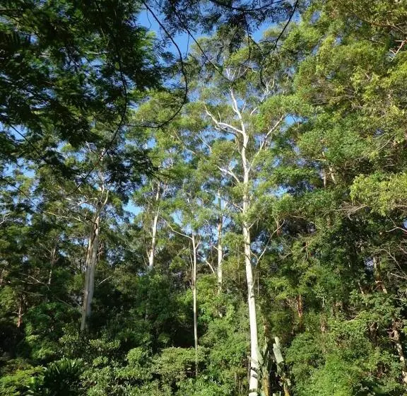 Majatalo Noosa Buoys