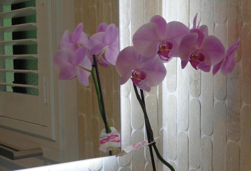 Пансион Noosa Buoys