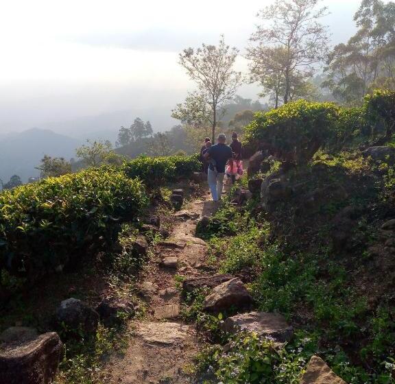 Pensiune The Bawa S Guest House