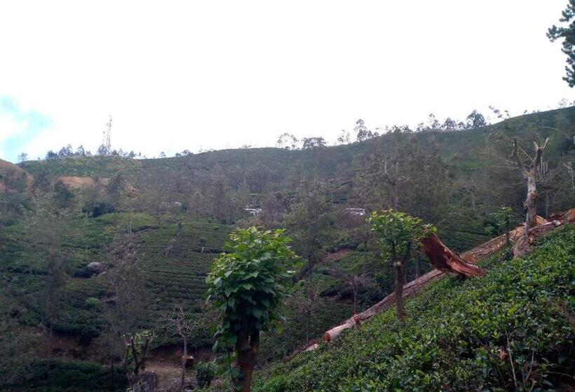 Pensiune The Bawa S Guest House