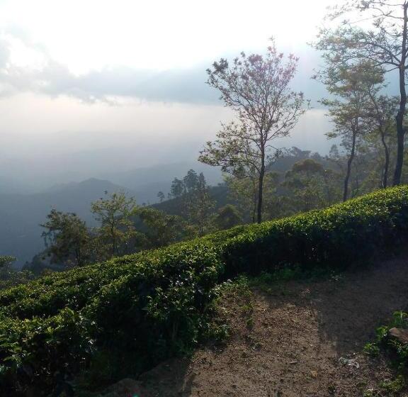 Pensiune The Bawa S Guest House