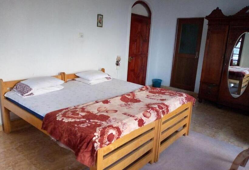 Pensiune The Bawa S Guest House