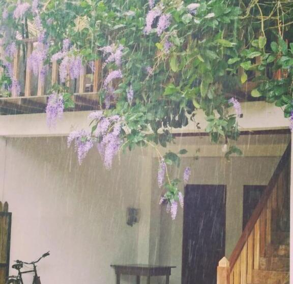 Пансион To Boayein