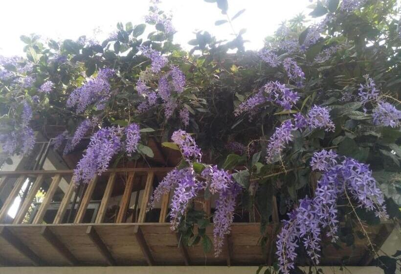 Пансион To Boayein