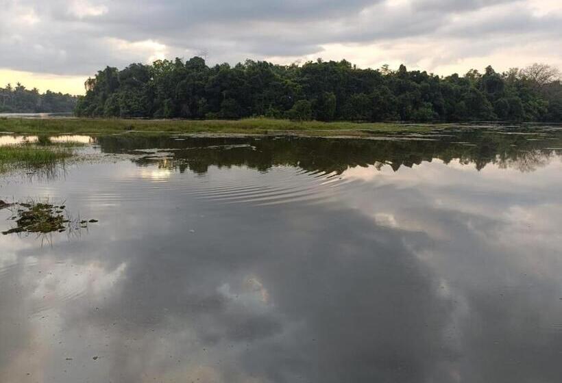 פנסיון Vinchenso