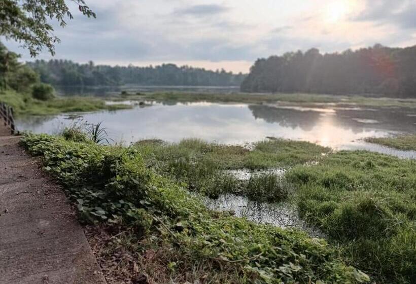 פנסיון Vinchenso