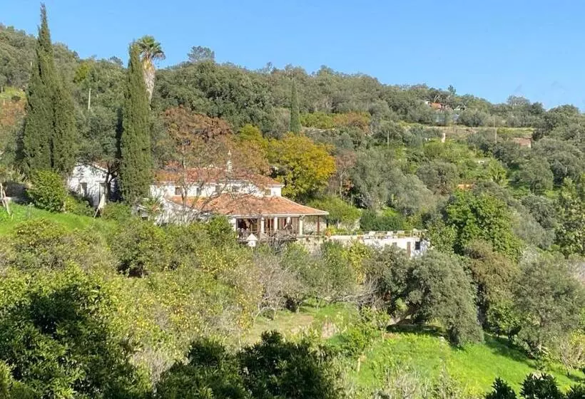 ベッドアンドブレックファースト Corgos Flores