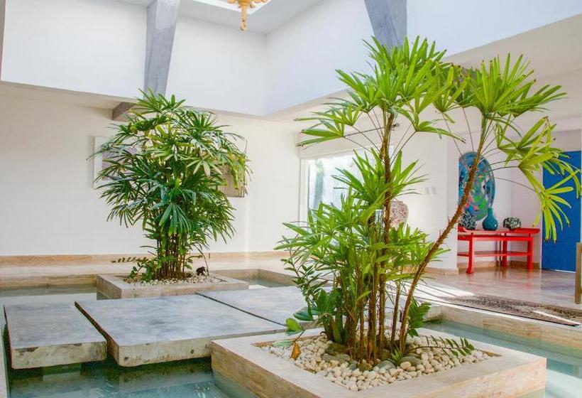 تختخواب و صبحانه Villa Bikini