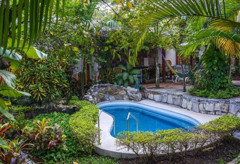 فندق Jardin Secreto Bungalow