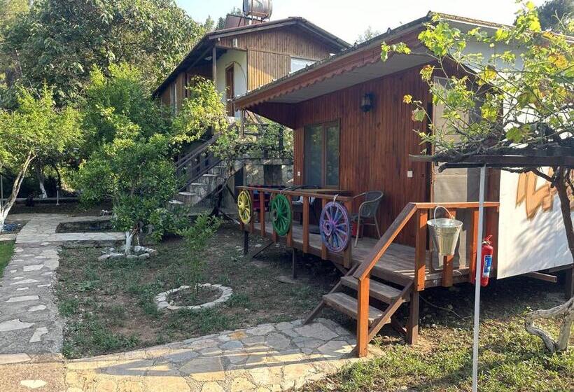 هتل Sunthalia Olympos Bungalow