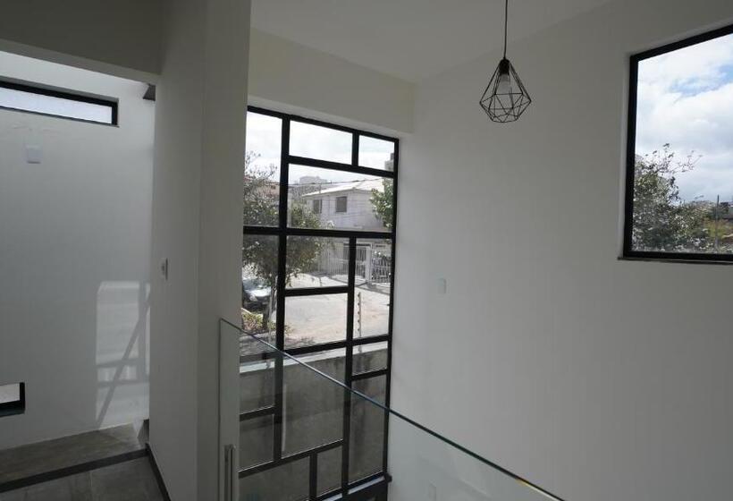 膳宿费 Luz Do Algodão