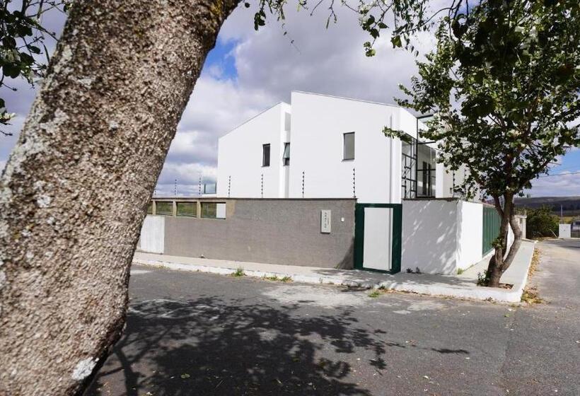 膳宿费 Luz Do Algodão