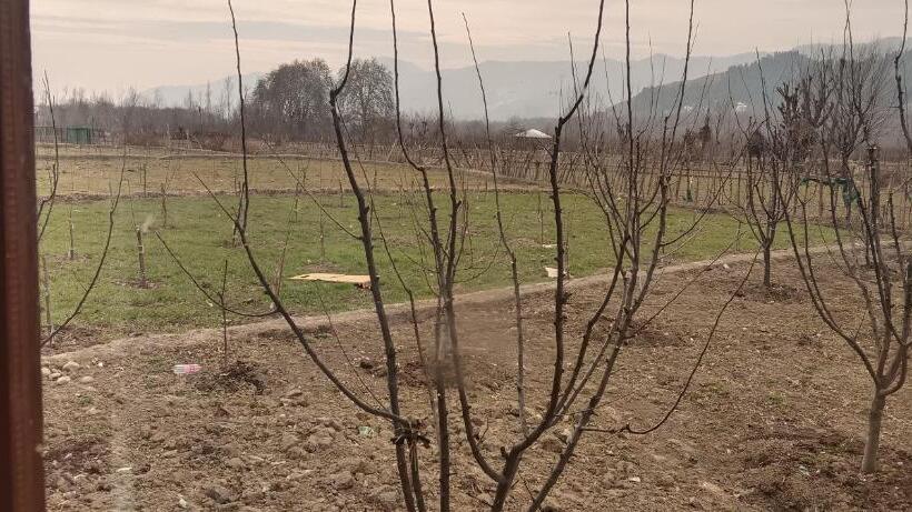 Aamiaismajoitus (B&B) Apple Garden Resort And Restaurant Movra Pahalgam