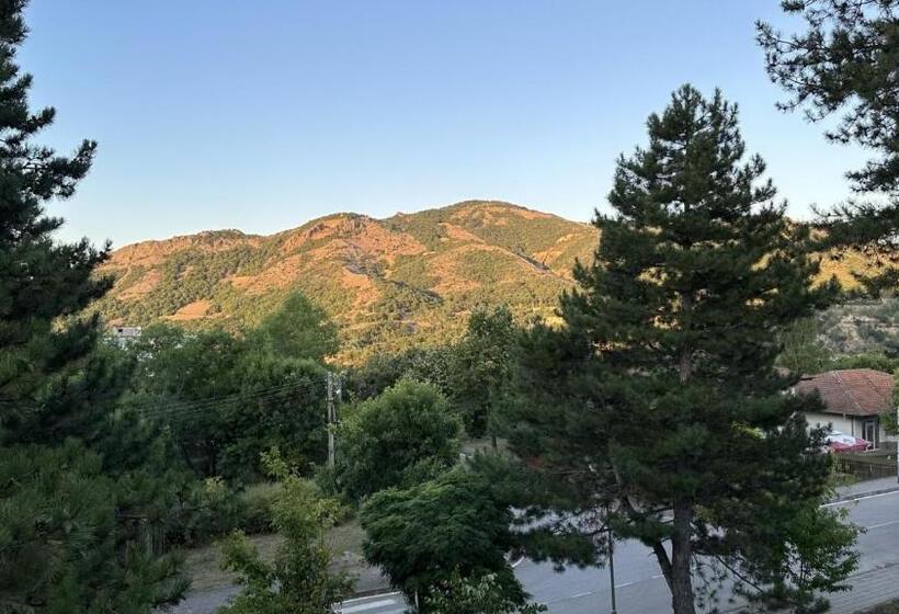 酒店 комплекс маджарово