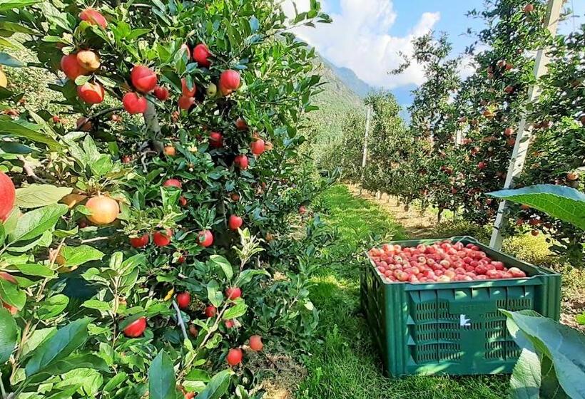 هتل Fröhlichhof Wohnung Pink Lady