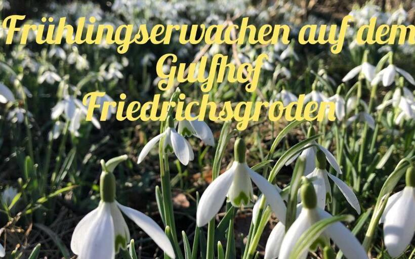 ホテル Gulfhof Friedrichsgroden