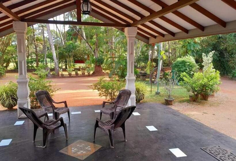 בית מלון כפרי Sisila Guest House