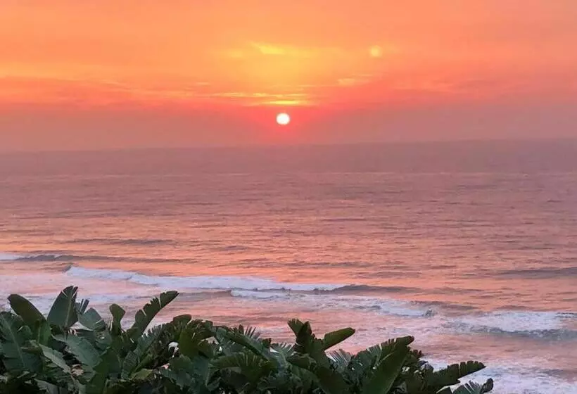 Hotelli Trashaven   Seaside Haven Backpackers